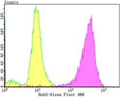 Invitrogen Bub3 Recombinant Rabbit Monoclonal Antibody (JG38-81) 100 &mu;L;