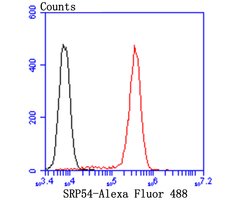 Invitrogen SRP54 Recombinant Rabbit Monoclonal Antibody (JE43-25) 100 &mu;L;