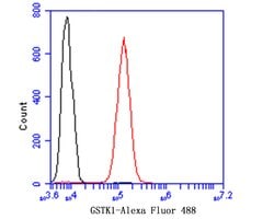 Invitrogen GSTK1 Recombinant Rabbit Monoclonal Antibody (JE47-38) 100 &mu;L;