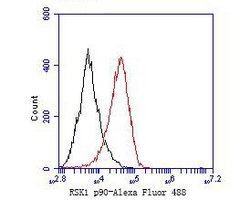 Invitrogen RSK1 Recombinant Rabbit Monoclonal Antibody (JE48-76) 100 &mu;L;