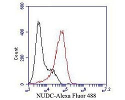 Invitrogen NUDC Recombinant Rabbit Monoclonal Antibody (JE50-74) 100 &mu;L;