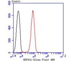 Invitrogen HSP701L Monoclonal Antibody (7D3) 100 &mu;L; Unconjugated:Antibodies,