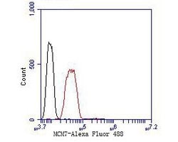 Invitrogen MCM7 Monoclonal Antibody (15E1) 100 &mu;L; Unconjugated:Antibodies,