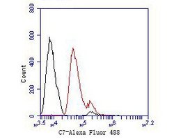 Invitrogen C7 Monoclonal Antibody (15D1) 100 &mu;L; Unconjugated:Antibodies,