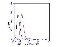 Invitrogen MTA2 Monoclonal Antibody (17A1) 100 &mu;L; Unconjugated:Antibodies,