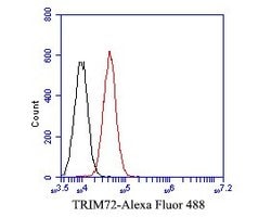 Invitrogen TRIM72 Monoclonal Antibody (A1D4) 100 &mu;L; Unconjugated:Antibodies,