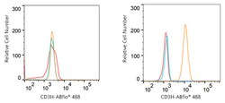 Invitrogen CD3z Recombinant Rabbit Monoclonal Antibody (1T5R7) 100 &mu;L;