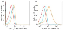 Invitrogen CD61 (Integrin beta 3) Recombinant Rabbit Monoclonal Antibody (7D5N1) 100 &mu;L | Buy Online | Invitrogen&trade; | Fisher Scientific