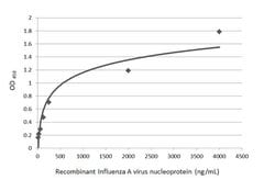 Invitrogen Influenza A H1N1 NP Monoclonal Antibody (GT1236) 100 &mu;L | Buy Online | Invitrogen&trade; | Fisher Scientific