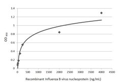Invitrogen Influenza B NP Monoclonal Antibody (GT371) 100 &mu;L; Unconjugated:Antibodies,