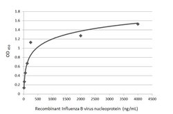Invitrogen Influenza B NP Monoclonal Antibody (GT371) 100 &mu;L; Unconjugated:Antibodies,