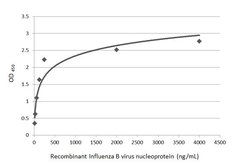 Invitrogen Influenza B NP Monoclonal Antibody (GT382) 100 &mu;L; Unconjugated:Antikörper