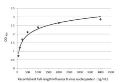 Invitrogen Influenza B NP Monoclonal Antibody (GT382) 100 &mu;L; Unconjugated:Antikörper