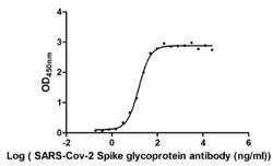 Invitrogen SARS-CoV-2 Spike Protein S1 Chimeric Recombinant Human Monoclonal