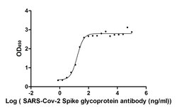 Invitrogen SARS-CoV-2 Spike Protein S1 Chimeric Recombinant Human Monoclonal