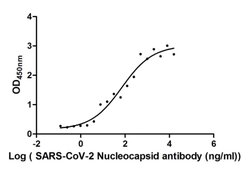 Invitrogen SARS-CoV-2 Nucleocapsid Chimeric Recombinant Human Monoclonal