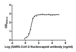 SARS-CoV-2 Nucleocapsid Chimeric Recombinant Human Monoclonal Antibody (1A6), Invitrogen 100 &mu;L | Buy Online | Thermo Scientific | Fisher Scientific