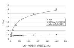 Invitrogen SARS/SARS-CoV-2 Spike Protein S2 Monoclonal Antibody (1A9) 100