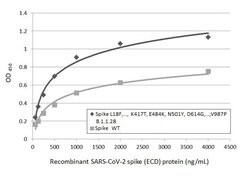 Invitrogen SARS/SARS-CoV-2 Spike Protein S2 Monoclonal Antibody (1A9) 100