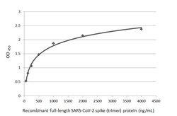 Invitrogen SARS/SARS-CoV-2 Spike Protein S2 Monoclonal Antibody (1A9) 100