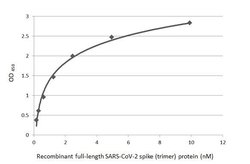 Invitrogen SARS/SARS-CoV-2 Spike Protein S2 Monoclonal Antibody (1A9) 100