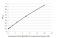 Invitrogen SARS/SARS-CoV-2 Spike Protein S2 Monoclonal Antibody (1A9) 100