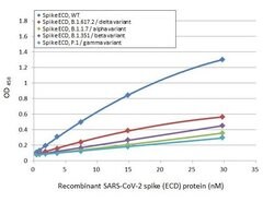 Invitrogen SARS/SARS-CoV-2 Spike Protein S2 Monoclonal Antibody (1A9) 100