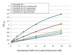 Invitrogen SARS/SARS-CoV-2 Spike Protein S2 Monoclonal Antibody (1A9) 100