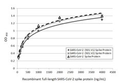 Invitrogen SARS/SARS-CoV-2 Spike Protein S2 Monoclonal Antibody (1A9) 100
