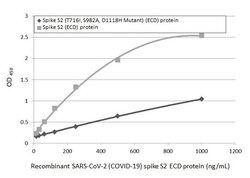 Invitrogen SARS/SARS-CoV-2 Spike Protein S2 Monoclonal Antibody (1A9) 100