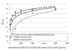 Invitrogen SARS/SARS-CoV-2 Spike Protein S2 Monoclonal Antibody (1A9) 100