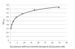 Invitrogen SARS/SARS-CoV-2 Spike Protein S2 Monoclonal Antibody (1A9) 100