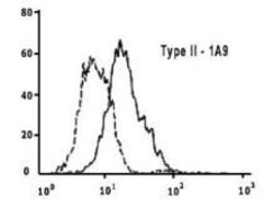 Invitrogen SARS/SARS-CoV-2 Spike Protein S2 Monoclonal Antibody (1A9) 100