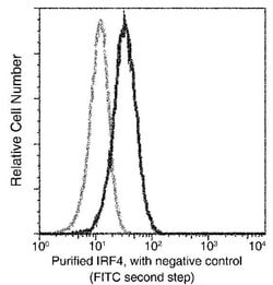 Invitrogen IRF4 Monoclonal Antibody (01) 100 &mu;L | Buy Online | Invitrogen&trade; | Fisher Scientific