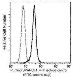 Invitrogen SPARCL1 Monoclonal Antibody (6D1D6G5) 100 &mu;L | Buy Online | Invitrogen&trade; | Fisher Scientific