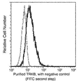 Invitrogen TrkB Monoclonal Antibody (7H6E7B3) 100 &mu;L; Unconjugated:Antibodies,