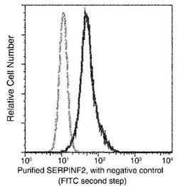 Invitrogen SERPINF2 Monoclonal Antibody (08) 100 &mu;L; Unconjugated:Antibodies,
