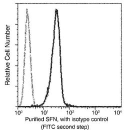 Invitrogen 14-3-3 sigma Monoclonal Antibody (02) 100 &mu;L; Unconjugated:Antibodies,