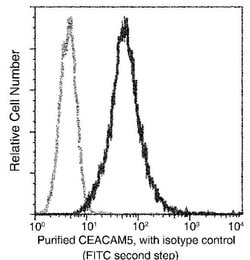 Invitrogen CEACAM5 Recombinant Rabbit Monoclonal Antibody (061) 100 &mu;L;