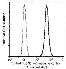 Invitrogen NLGN3 Recombinant Rabbit Monoclonal Antibody (242) 100 &mu;L;