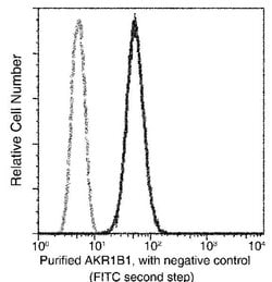 Invitrogen AKR1B1 Recombinant Rabbit Monoclonal Antibody (101) 100 &mu;L;