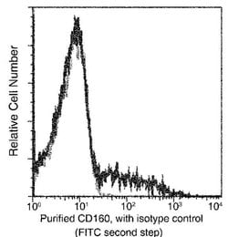 Invitrogen CD160 Recombinant Rabbit Monoclonal Antibody (275) 100 &mu;L;