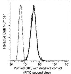 Invitrogen GIF Recombinant Rabbit Monoclonal Antibody (007) 100 &mu;L;