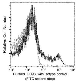Invitrogen CD93 Recombinant Rabbit Monoclonal Antibody (138) 100 &mu;L;