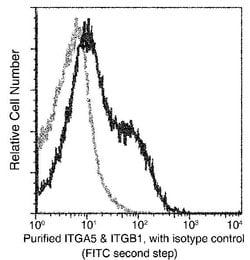 Invitrogen ITGA5/ITGB1 Monoclonal Antibody (05) 100 &mu;L | Buy Online | Invitrogen&trade; | Fisher Scientific