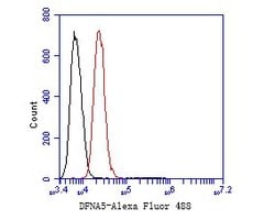 Invitrogen DFNA5 Monoclonal Antibody (A1H3) 100 &mu;L; Unconjugated:Antibodies,
