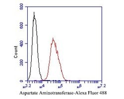 Invitrogen Aspartate Aminotransferase, Cytoplasmic Monoclonal Antibody (A2D7) 100 &mu;L | Buy Online | Invitrogen&trade; | Fisher Scientific