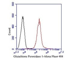 Invitrogen Glutathione Peroxidase 1 Monoclonal Antibody (C5-A10) 100 &mu;L;