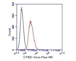 Invitrogen LYRIC Monoclonal Antibody (C6-C10) 100 &mu;L; Unconjugated:Antibodies,