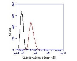 Invitrogen CLEC4F Monoclonal Antibody (10-A6-1) 100 &mu;L | Buy Online | Invitrogen&trade; | Fisher Scientific
